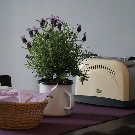 La Lavendula Freital